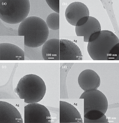 Figure 4. TEM images of (a) un-doped, (b) 2.5 mol% Ag-doped, (c) 5.0 mol% Ag-doped, and (d) 2.5 mol% Ag/2.5 mol% Zn co-doped BG specimens.