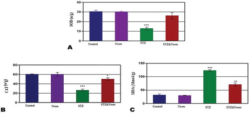 Figure 4. Represents the changes of serum levels of SOD (a), CAT (b) and MDA (c) among the different studied groups. Note: a highly significant decreased levels of SOD &CAT and a highly significant increased level of MDA (P < 0.001) in STZ-induced diabetic rats compared with control