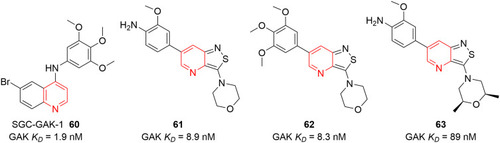 Figure 32 Antiviral GAK inhibitors containing isothiazolopyridine scaffold.