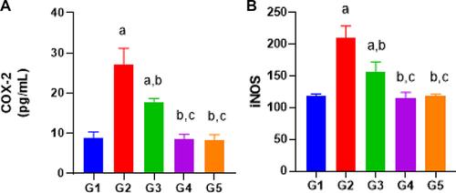 Figure 2 (A) Plasma COX-2 levels between different groups. Group G1 – Control, G2 - Indomethacin 30 mg/kg, G3- Indomethacin+ 2,3-Dimethylquinoxaline (30 mg/kg body weight), G4 - Indomethacin+ 2,3-Dimethylquinoxaline (60 mg/kg body weight), G5 - Indomethacin+ esomeprazole 30 mg/kg. (B) Plasma iNOS levels between different groups. Group G1 – Control, G2 - Indomethacin 30 mg/kg, G3- Indomethacin+ 2,3-Dimethylquinoxaline (30 mg/kg body weight.), G4 - Indomethacin+ 2,3-Dimethylquinoxaline (60 mg/kg body weight), G5 - Indomethacin+ esomeprazole 30 mg/kg.