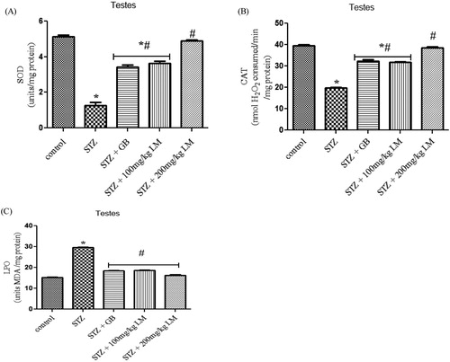 Figure 2. Effects of L. micranthus on activities of SOD (A), CAT (B) and LPO (C) in control and STZ-induced diabetic rats. Each bar represents mean ± SEM of eight rats. *p < 0.05 compared to control. #p < 0.05 compared to diabetic control group. STZ, 60 mg streptozotocin; STZ + GB, 60 mg STZ + 5 mg Glibenclamide; STZ + 100 mg, 60 mg STZ + 100 mg LM extract; STZ + 200 mg, 60 mg STZ + 200 mg LM extract.