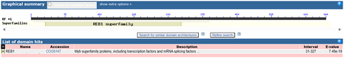 Figure 1. Analysis of the conserved domains of LpMYB4. Conservative domain analysis of LpMYB4 using NCBI. Result shows that there is a highly conserved MYB-DNA binding structural domain.