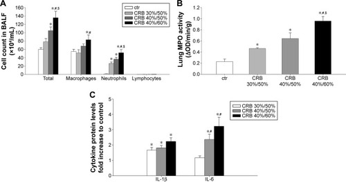 Figure 8 CRB provoked lung inflammation.