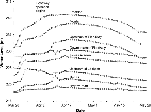 Figure 3. Daily average water level measurements from Emerson to Breezy Point. Hollow and filled circles indicate gauges located upstream and downstream of the Red River Floodway inlet, respectively. Data obtained from Environment Canada (Citation2014b).