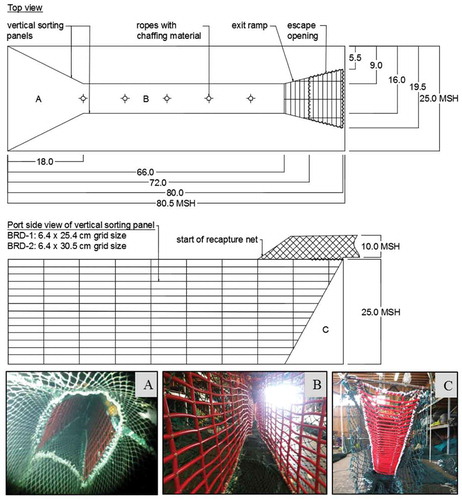 FIGURE 1. Schematic diagram (not to scale) depicting the general design of the flexible sorting grid tested (top; MSH = meshes). The only design difference between the two bycatch reduction devices (BRD-1 and BRD-2) was the grid size. Image A presents the aft view of the forward portion of the gear, where fish enter and encounter the BRD; image B depicts the aft view of the area between the two vertical sorting panels; and image C presents the fore view of the upward-angled exit ramp.