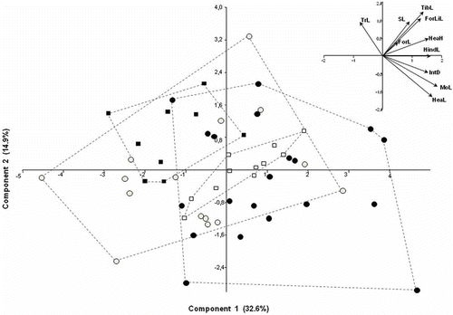 Figure 6. Principal component analysis (PCA) on size-corrected characters. Black circles: continental males; white circles: continental females; black squares: insular males; white squares: insular females. At the top right, direction and length of the variable vectors are shown.