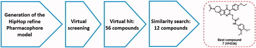 Figure 1. Virtual screening process to identify the best hit compound.