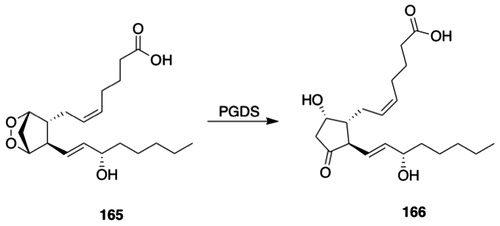 Figure 14. PGDS substrates. 165, prostaglandin H2 (PGH2); 166, prostaglandin D2 (PGD2).