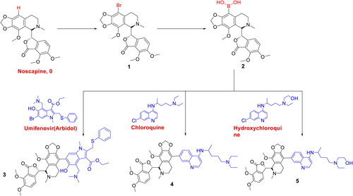 Scheme 1. Desinging of noscapine based hybrid molecules using repurposing drugs (Umifenovir, Chloroquine, Hydroxychloroquine).