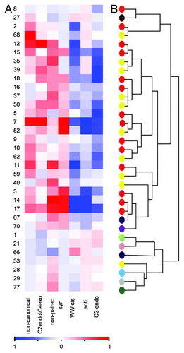 Figure 2. (A) Enrichment of structural properties in 33 representative structures of ligand binding pockets on RNA. Heatmap demonstrates over- and under- representations of the different structural properties in the binding pockets relative to background. The color scheme refers to the standardized score calculated against a background of computed pockets (calculated by the Solvent program). Scores were scaled to range from -1 to 1. Significant preferences of properties relative to the background of all RNA pockets are colored red (1) while blue denotes under-representation (-1). Numbers represent the index of the complex listed in Table S1. (B) Hierarchical clustering of the 33 representative structures of RNA ligand complexes based on their structural properties. The colors of the dots represent different RNA groups (7SK SNRNA – bright green, Aptamer – red, DIS-HIV1 – pink, Duplex – brown, HIV1 Helix – azure, HCV IRES Domain IIa – gray, Riboswitch – yellow, Ribozyme – blue, TAR-purple, Splicing Regulatory – dark green).