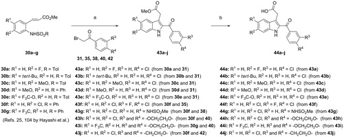 Scheme 6. Synthesis of {2-[(4-substituted or 3,4-disubstituted)-benzoyl or (bicyclic heterocycloalkanophenyl)carbonyl]-(5- or 6-substituted)-1H-indol-3-yl}acetic acids 44a–j. Reagents and conditions: (a) K2CO3, acetone; then DBU; (b) 2 N NaOH, MeOH–THF or MeOH or EtOH, reflux; then acidified by 2 N HCl, room temp. Note: Refer text in this article and Refs. 25 and 104 by Hayashi et al. for the preparation of methyl 3-{(4- or 5-substituted)-2-[(arylsulfonyl)amino]phenyl}acrylates 30a–g.