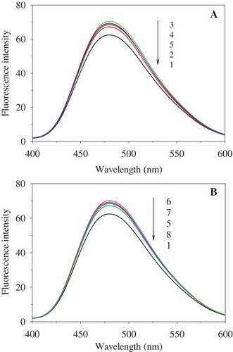 Figure 4. Effect of PEF treatment on ANS-binding fluorescence of OVA. A: PEF treatment time was 180 μs; B: PEF electric field intensity was 35 kV/cm. 1−5 represent OVA treated for 180 μs at 0, 20, 25, 30, and 35 kV/cm, respectively. 6−8 represent the OVA treated at 35 kV/cm for 60, 120, and 240 μs, respectively. The concentration of OVA samples was 0.4 mg/mL.