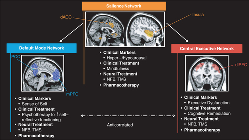 Fig. 1 Neuroscientifically-informed treatment interventions in psychotraumatology: Three intrinsic networks, including the central executive network (CEN), salience network (SN), and default mode network (DMN) may be associated with specific clinical symptoms observed in PTSD, including cognitive dysfunction (CEN), hyper- and hypoarousal/interoception (SN), and an altered sense of self (DMN). Specific testable treatment interventions targeted to restore each one of these brain networks and related clinical dysfunction are suggested. Images were created using network templates available from http://findlab.stanford.edu/functional_ROIs.html (Shirer, Ryali, Rykhlevskaia, Menon, & Greicius, Citation2012).