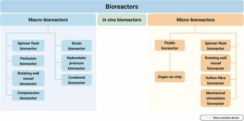 Figure 3. Overview of the distinct types and subtypes of bioreactors.