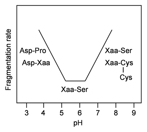 Figure 1 pH-dependence of the major fragmentation sites in a mAb.