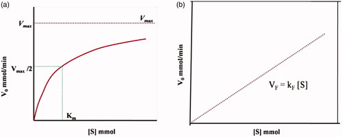 Figure 5. Michaelis–Menten kinetics: (a) enzyme catalyzed reaction and (b) an ordinary non-catalyzed reaction or a chemically catalyzed reaction.