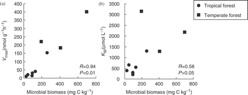 Figure 2. The relationship between the kinetic parameters and soil microbial biomass in tropical and temperate forest soils at the same incubation temperature (25°C). Figures (a) and (b) show the relationship between microbial biomass carbon (C) and the Vmax and KM values, respectively. Symbols denote the following: • are the data of tropical soils, and ▪ are those of temperate soils. The Pearson's correlation coefficients and probability are presented.