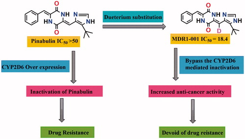 Figure 8. Analogue designing strategy of pinabulin to overcome drug resistance.