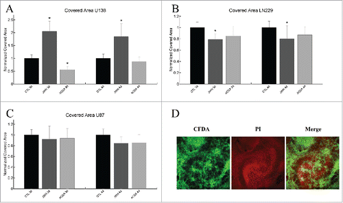 Figure 4. Measurements of the invasion for each cell line and its respective treatment. (A) In U138 cells a significant increase in invasiveness was seen 3 and 4 d after treatment with the CB2 agonist JWH-133 (n3d CTL = 39, n3d JWH133 = 22, n4d CTL = 26, n4d JWH133 = 18). ACEA application resulted in a decrease of invasiveness after 3 d of invasion time but the effect was not significant anymore after 4 d (n3d ACEA = 20, n4d ACEA = 18). (B) Under influence of JWH-133 a significant decrease of invasiveness of LN229 cells was observed after 3 and 4 d (n3d CTL = 37, n3d JWH133 = 19, n4d CTL = 41, n4d JWH133 = 21). ACEA did not have a significant influence on LN229 cells (n3d ACEA = 24, n4d ACEA = 22). (C) Displays the obtained results for the U87 cells under influence of cannabinoids. Neither the CB1 nor CB2 agonist could show any significant effect (n3d CTL = 53, n3d JWH133 = 25, n3d ACEA = 26, n4d CTL = 51, n4d JWH133 = 21, n4d ACEA = 30). (D) Represents a typical invasion pattern generated by the tumor cells after 4 d of invasion. In red the propidium iodide dyed cytoarchitecture of the OHSC is visible, while green depicts the tumor labeled using carboxyfluorescin diacetate. Clear distinguishable structures allowing differentiation between single tumors are not visible. Scale bars depict 400 µm. Statistics was performed using the Mann-Whitney test and significance was chosen for p < 0.05. The asterisk denotes significant results regarding the control measurement of the same cell line.