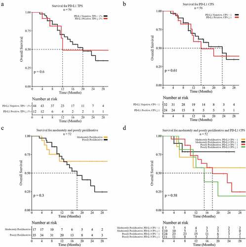 Figure 3. Overall survival based upon PD-L1 IHC and cell proliferation status. (a) Overall survival upon stratification based on PD-L1 expression levels using TPS ≥ 1% as a cutoff for a positive result, or (b) CPS ≥ 1 as a cutoff for a positive result. Number at risk and p values are reported. (c) Overall survival of poorly versus moderately proliferative RCC patients. (d) Overall survival of poorly versus moderately proliferative RCC patients for PD-L1 TPS negative and positive results. Number at risk and p values are reported.