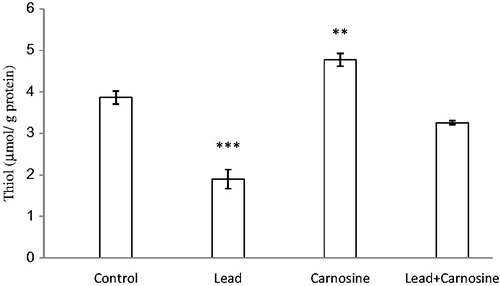 Figure 2. Effects of long-term carnosine administration on total thiol concentration in liver homogenates samples of control, lead, carnosine (10 mg/kg) treated control (carnosine) and carnosine (10 mg/kg) treated lead (lead + carnosine) groups (n = 7) at 8 weeks after treatments. The data are represented as mean ± S.E.M. *p < 0.05, **p < 0.01 and ***p < 0.001 (as compared with the control group).