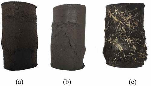 Figure 3. Failed modes as observed in (a) untreated soil (b) nano-silica treated soil and (c) fiber-reinforced soil treated with nano-silica.
