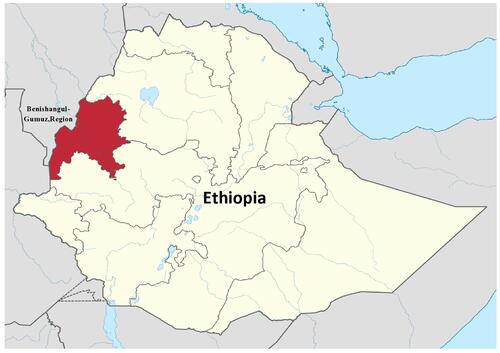 Figure 1 Map of Benishangul Gumuz Area in the western part of Ethiopia. The present study is conducted at two Benishangul Gumuz Area hospitals. It is located in the western part of Ethiopia between 34 ° 10 ‘N and 37 ° 40ʹ E; and 09 ° 17 ‘N & 12 ° 06ʹ N. In latitude. Based on the 2007 census, the total population of the district is 670,847. About 85.4% of the national population is rural, while the remaining 14.6% is metropolitan. Adapted from Benishangul-Gumuz Region [Internet]. Benishangul-Gumuz Region; 2021. Available from: https://en.wikipedia.org/wiki/Benishangul- Gumuz_Region. Accessed Jan 13, 2021.Citation12
