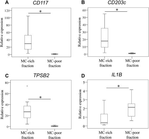 Figure 2 Expression of TPSB2 and IL1B in mast cells. Expression of CD117 (A), CD203c (B), TPSB2 (C), and IL1B (D) in MC-rich (CD3-CD14-CD19-CD90-) and MC-poor (CD3+, CD14+, CD19+, or CD90+) fractions. *P<0.05 compared to the MC-poor fraction.