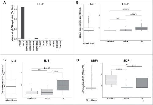 Figure 1. Breast cancer cell lines do not express TSLP mRNA. (A) TSLP mRNA expression quantified by quantitative PCR (TaqMan) in 11 breast cancer cell lines. PBMC and MRC5 correspond to negative and positive control respectively. N = 4. (B, C, D) Boxplots in the left panels represent mRNA expression in 1036 cancer cell lines from CCLE of TSLP, IL-8 and SDF1 respectively. (B, C, D) Boxplots in the right panels show the gene expression of TSLP, IL-8 and SDF1 respectively for breast cancer cell lines, which were grouped according to their corresponding molecular subtype. p values were calculated with a t test comparing different cancer cell subtypes.