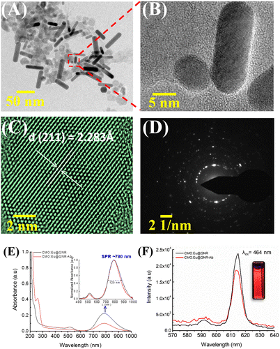 Figure 2. (A) TEM and (B) HRTEM images of CMO:Eu@GNR. (C) HRTEM image of CaMoO4:Eu NPs and (D) SAED pattern for (A). (E) UV–visible and (F) photoluminescence (λex = 464 nm) spectra of CMO:Eu@GNR without (black) and with Ab (red). Inset in (E) shows the comparison of normalized absorption spectrum at an SPR of 790 nm. Digital photograph of the CaMoO4:Eu NPs dispersed in PBS under a UV-lamp (λex = 254 nm), shown in the inset of (F).