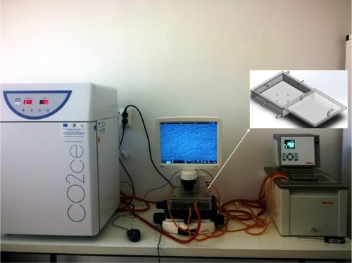 Figure 2 The custom-made incubation system.Notes: All the six double-sided walls of the incubator were heated by water recirculated by a thermostated bath. For WHT treatment, the CO2 supply of the homemade incubator was discontinued.Abbreviation: WHT, water-based hyperthermia.