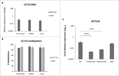 Figure 5. Effects of DNA methylation inhibition in colon cancer cell lines. Expression (A) and methylation (B) of LCT13 in HCT116 cells untreated or treated with DMSO vehicle alone or 1 μM 5-aza in DMSO. Treatment with 5-aza has no effect on LCT13 expression levels; no overall changes in the levels of DNA methylation are seen in either cell line. (C) Expression profile of LCT13 in HCT116 that are either wild type or lacking DNA methyltransferase 1 (DNMT1-KO), or 3B (DNMT3B-KO), or both DNMT1 and 3B (DKO). P values were calculated by one-way ANOVA. ***: P < 0.001