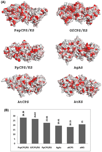 Figure 7. Molecular hydrophobicity potential of different terpene synthases (TPS) from plants and fungi. (A) Surface hydrophobicity of investigated TPS proteins coloured in PyMOL. Red areas represent hydrophobic surface. (B) Graphical representation of the percentage of hydrophobic surface of each protein as obtained with PLATINUM.