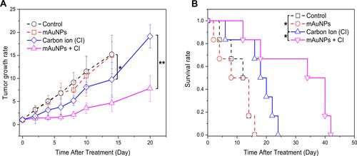 Figure 4 Effects of AuNPs on tumor size and survival in mice. (A) Tumor growth rates of the mice in the different groups; (B) Survival of the tumor-bearing mice in the different groups (*, p<0.05; **, p<0.01).