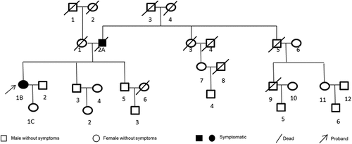 Figure 1. Family tree of the patient. The proband in this family was the present patient (1b). Her father (2a) used to have similar symptoms and dead at 60 years old. Her daughter (1c) have no similar symptom up to now.
