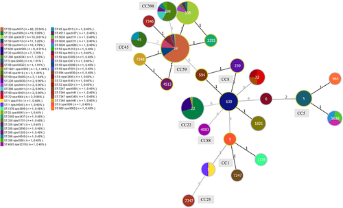 Figure 2 Minimum spanning tree constructed by goeBURST based on the MLST data of this study. The number between lines indicates locus differences. The size of each node corresponds to the number of strains. The colour partition of each disc corresponds to the proportion of the SPA types. Figures on the nodes are ST numbers.