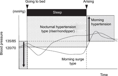 Figure 2 Different blood-pressure profiles in two subjects with high sleep-trough morning blood pressure surge (MBPS).