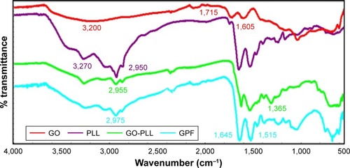 Figure 2 FTIR spectra of GO, PLL, GO-PLL, and GPF.Abbreviations: FTIR, Fourier transform infrared; GO, graphene oxide; GPF, GO-PLL/folic acid; PLL, poly-l-lysine hydrobromide.