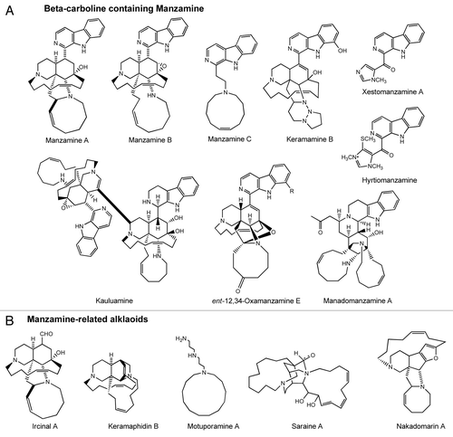 Figure 1. Representative members of manzamine family of alkaloids.