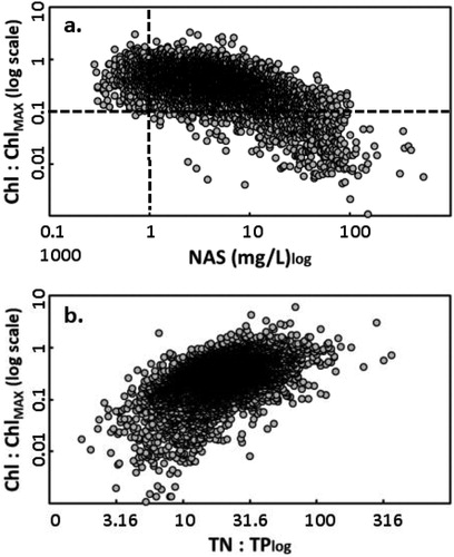 Figure 2. (a) Log transformation of chlorophyll (Chl, µg/L) divided by the maximum Chl observed in individual Chl-TP pairs in the dataset (calculated with measured TP using Eq. 1 in Jones et al. Citation2011b) against the log transformation of nonalgal mineral seston (NAS mg/L) in this long-term dataset (n = 7586). Lines delineate a Chl:Chl-maximum ratio of 0.1 and an NAS value of 1 mg/L. (b) Log transformation of the Chl:Chl-maximum ratio against the log transformation of the total nitrogen:total phosphorus ratio in this long-term dataset (TN:TP, n = 8996 pairs).