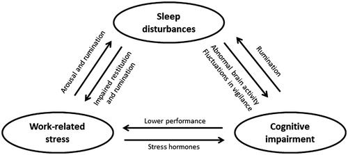 Figure 1. The hypothesized relationship between work-related stress, sleep disturbances, and cognitive impairments.
