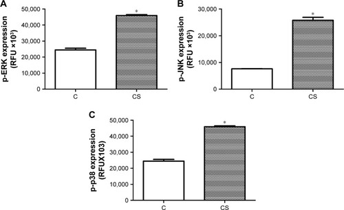 Figure 5 Phosphorylation levels of ERK1/2 (A), JNK (B), and p38 (C) in lung tissue of rats exposed to CS.