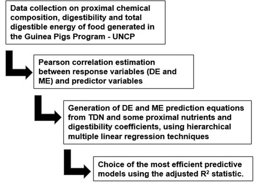 Figure 1. Sequence of the investigation procedure.