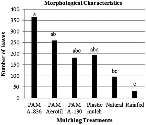Figure 4. The number of acacia leaves under different treatments.