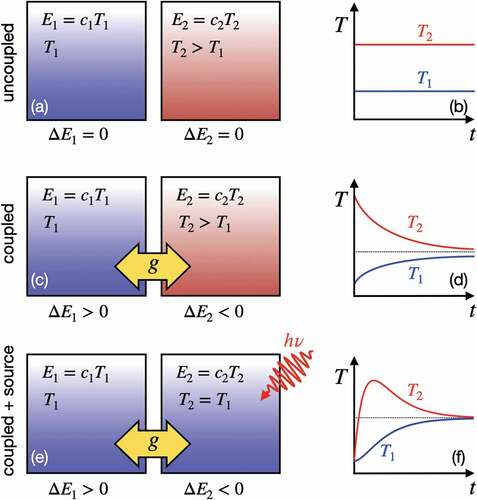 Figure 1. Schematic representation of two thermal reservoirs at temperatures T1 and T2>T1 and energies E1=C1T1 and E2=C2T2 – where C1 and C2 denote the heat capacities – in absence of interactions (a), in presence of mutual interactions characterized by a coupling constant g (c), and in presence of an external field (e). (b), (d), and (f): Time dependence of the temperature for the systems in (a), (c), and (e), respectively, as obtained from the solution of the TTM.