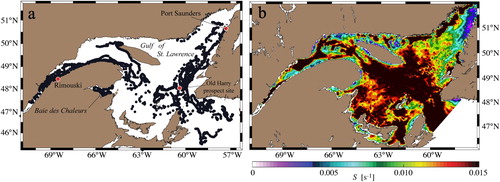 Figure 2. (a) Geographical positions reported by drifting buoys between 2014 and 2015 (61,169 points) in the Lower Estuary, near Rimouski, in Baie des Chaleurs, and around the Old Harry Prospect site. (b) Daily averaged vertical shear magnitude S in s−1 calculated using the two top cells of the GSL5km-RDPS model for 2 June 2014.