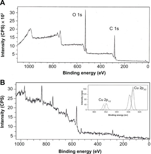 Figure 5 XPS survey scanning spectra of the (A) GK (B) GK-CuO nanoparticles formation.Note: Inset figure B shows the spectra of the CuO nanoparticles formation.Abbreviations: XPS, X-ray photoelectron spectroscopy; GK, gum karaya; CuO, copper oxide; CPS, counts per second; eV, electron volts.