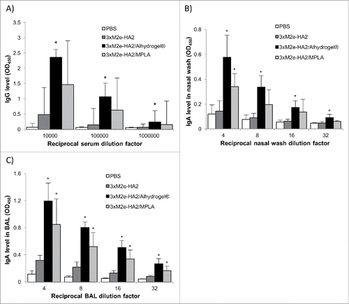 Figure 4. Antigen (3 × M2e-HA2)-specific total IgG levels in the serum (A), and IgA levels in the nasal wash (B) and BAL (C) samples of mice intranasally immunized with 3 × M2e-HA2-adsorbed Alhydrogel®. Mice (n = 5) were dosed on days 0, 14 and 28 with 3 × M2e-HA2/Alhydrogel®, 3 × M2e-HA2/MPLA, 3 × M2e-HA2 alone or sterile PBS. The dose of 3 × M2e-HA2 was 5 μg per mouse, 5 μg for MPLA, and 50 μg for Alhydrogel®. The anti-3 × M2e-HA2 IgG (OD450 values) in the serum samples and IgA levels in the nose wash and BAL samples were measured 14 d after the third immunization (*p < 0.05, vs. 3 × M2e-HA2).