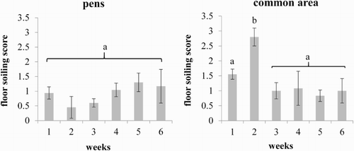 Figure 5. Means and standard deviations of floor soiling score for the pens and the common area during six weeks. Significant differences are indicated by different letters (p < .05).