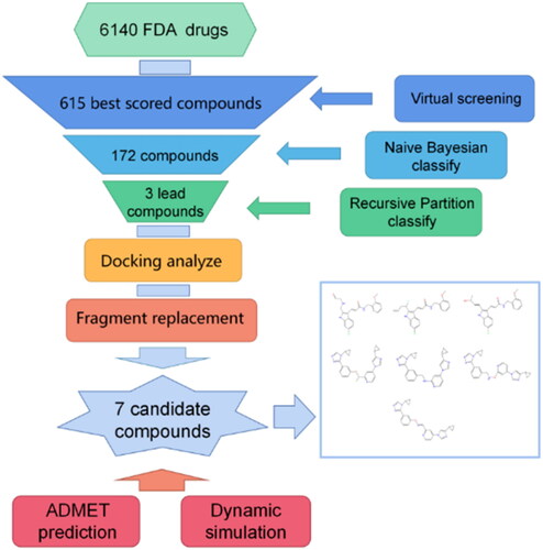 Figure 1. Schematic diagram of the workflow of this study.